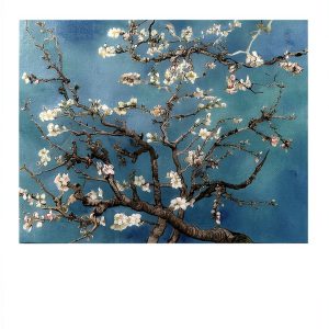 Japanese Literature & Fiction Book by PHP研究所 (Kindle)-0